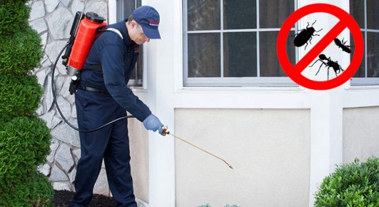 Alucra Böcek ve Haşere İlaçlama böcek ilaçlama ve haşere kontrolü — ilaclama-tr.com